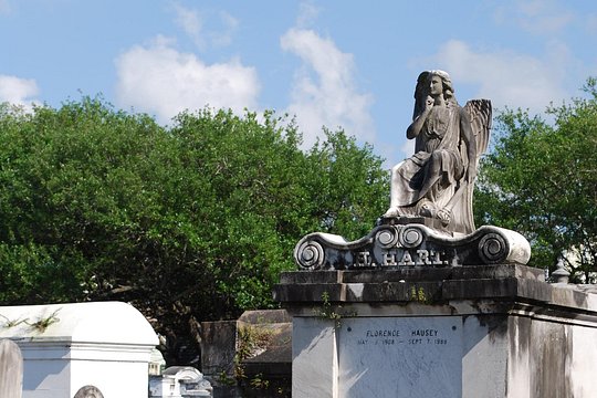 Tour image 6